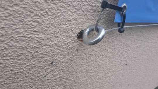 Potężne śruby politycznego baneru niszczą elewację