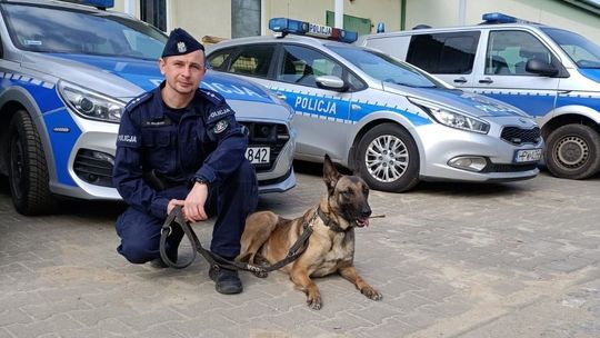 Powiedział że popełni samobójstwo. Nastolatka znalazł pies