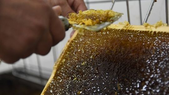 Powiększamy swoją skarbnicę kulinarną 