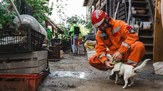 Czy powódź wpłynie na ceny w sklepach w całej Polsce? To się okaże