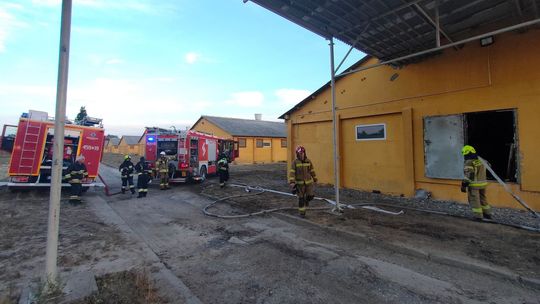 Pożar na fermie