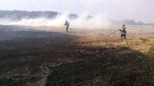 Pożar na polu pomiędzy dwiema gminami