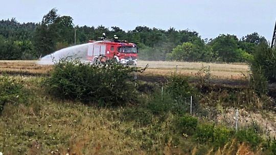 Pożar niebezpiecznie się przemieszczał. Było duże zagrożenie