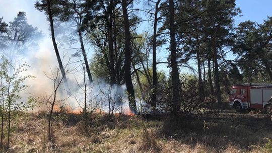 Pożar niedaleko stadionu Pożar niedaleko stadionu