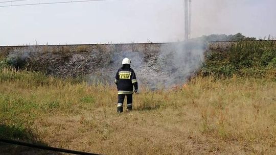 Pożar niedaleko torów Pożar niedaleko torów