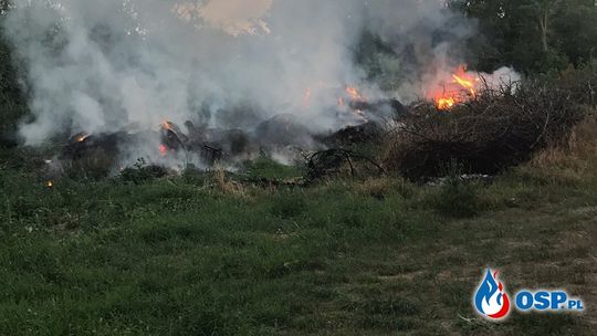Pożar składowiska śmieci. Strażacy pracowali w maskach 