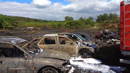 Pożar trawy, samochodów i sterty opon [ZDJĘCIA]