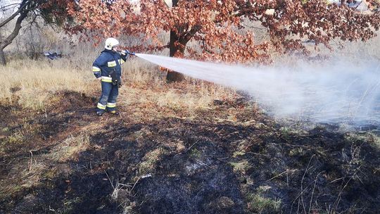 Pożar trawy to katastrofa