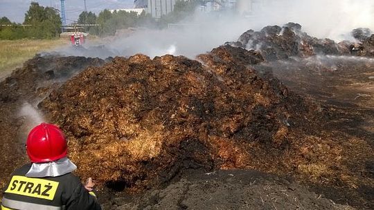 Pożar w Dolnej Odrze