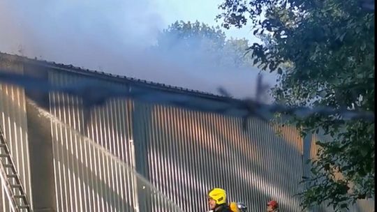 Pożar w Gryfskandzie Pożar w Gryfskandzie