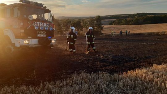 Pożar zboża na pniu oraz ścierniska Pożar zboża na pniu oraz ścierniska