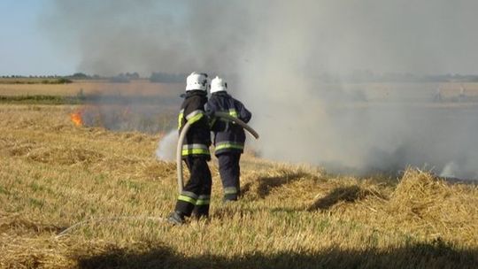 Pożar zboża na pniu. W akcji brali udział strażacy i ciągniki rolnicze