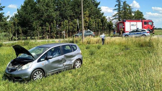 Pożary, nawałnice i groźne owady: Raport z działań strażaków w powiecie gryfińskim