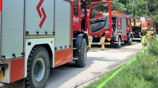 Pożary pól, wypadki i owady w szkołach. Gorący tydzień strażaków w powiecie gryfińskim