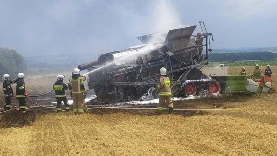 Pożary trawią powiat gryfiński. Kilka rodzajów wyjazdów strażaków