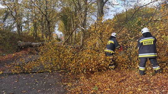 Pracowity dzień strażaków z naszego regionu. Wichura narobiła szkód