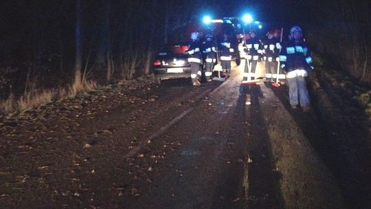 Pracują niczym drogowcy