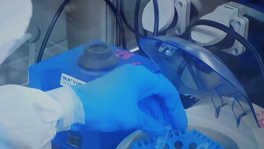 Prawie 20 kolejnych osób w regionie zakażonych koronawirusem, w tym dwoje dzieci