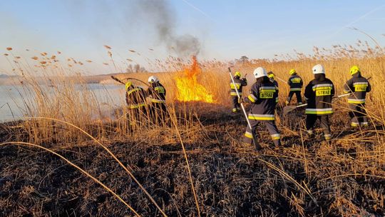 Prawie 20 zastępów straży gasiło pożary traw i nieużytków