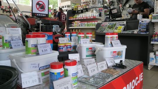 Preparaty na szczury i gryzonie