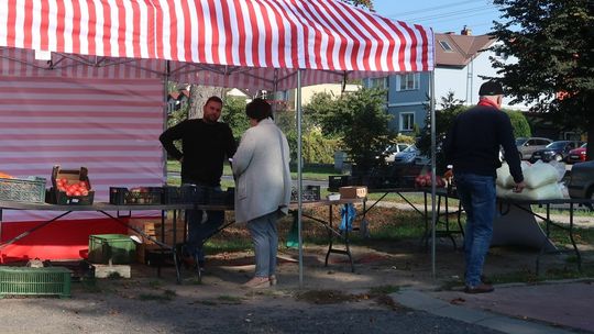 Proponujemy świeże warzywa i owoce w przystępnych cenach Proponujemy świeże warzywa i owoce w przystępnych cenach
