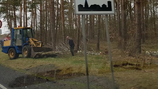 Protest przeciwko skali wycinki lasów