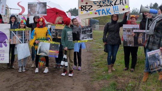 Protest przeciwko zwierzętom w cyrku. Kontrargumenty cyrkowców