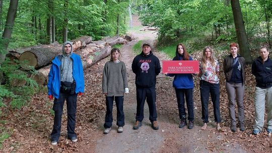 Protestują przeciwko wycince drzew w Nadleśnictwie Gryfino