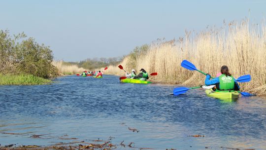 Prowadzą zapisy na wycieczkę kajakową po Międzyodrzu