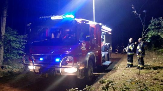 Przeczesywali las w poszukiwaniu Sebastiana Sierpińskiego Przeczesywali las w poszukiwaniu Sebastiana Sierpińskiego