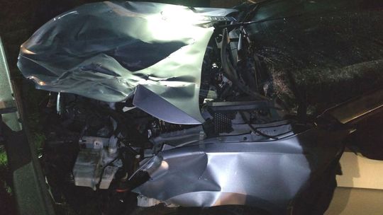  Przed maską pojawił się jeleń. Nie miał szans