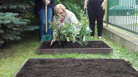 Przedszkolaki mają swój ogródek zmysłów