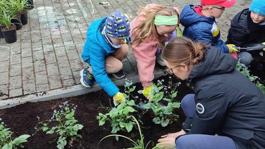 Przedszkolaki zakładają ogródki deszczowe dla dobra planety