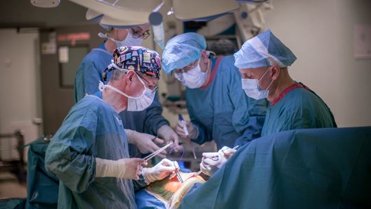 Przełomowa operacja przeszczepienia nerek