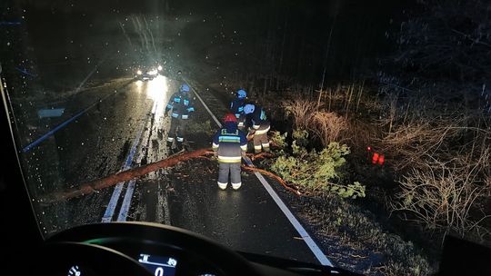 Przerażające skutki wichury