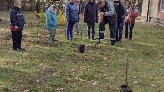 "Przerwa na owoc" w Nadleśnictwie Gryfino. Będą zakładać minisady owocowe