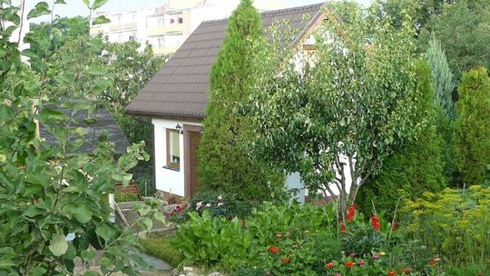 Przestępczość na terenie ogródków działkowych