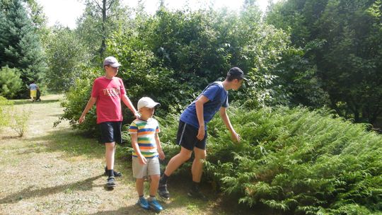 Przeszukiwali 2 hektary w poszukiwaniu skarbów