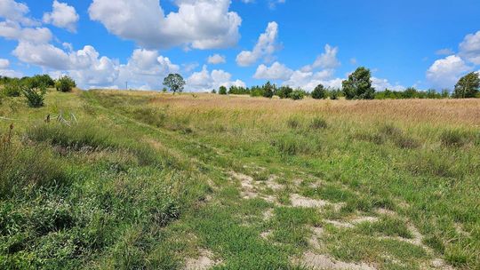 Przetargi, przetargi i co z nich wynika?