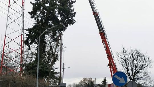 Przez niebezpiecznie pochylony świerk utrudnienia w ruchu i brak prądu Przez niebezpiecznie pochylony świerk utrudnienia w ruchu i brak prądu