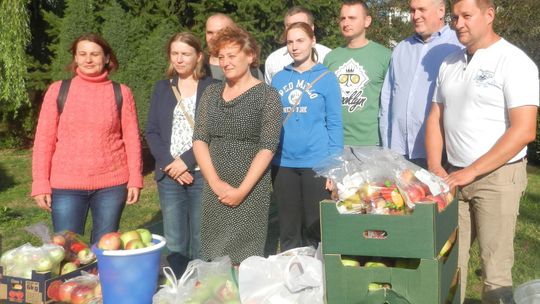 Przybyli i się podzielili - jabłuszkowa akcja czytelników igryfino
