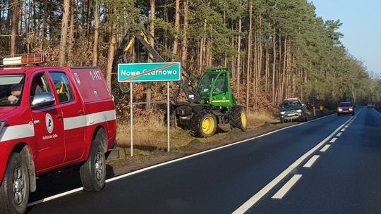 Przycinają drzewa pod Gryfinem Przycinają drzewa pod Gryfinem