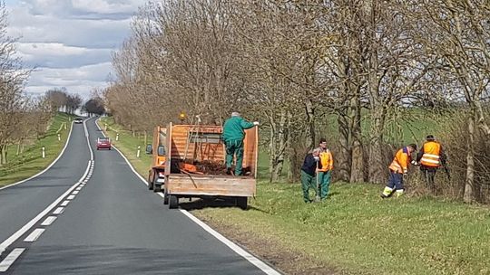 Przycinają gałęzie. Kierowcy, uważajcie! Przycinają gałęzie. Kierowcy, uważajcie!