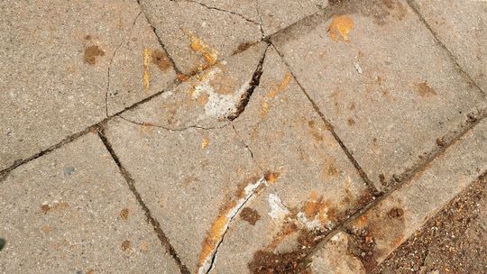 Przycinając gałęzie, zniszczyli chodniki - skarży się czytelniczka