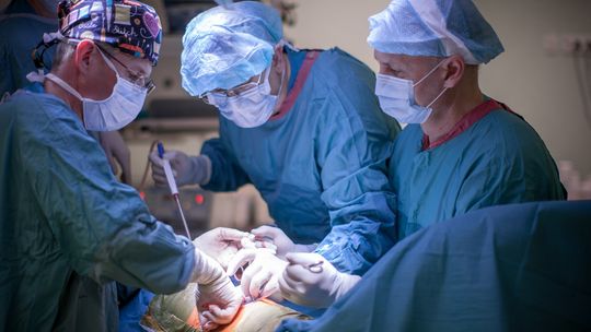 Przygotowanie do przeszczepu wielonarządowego Przygotowanie do przeszczepu wielonarządowego