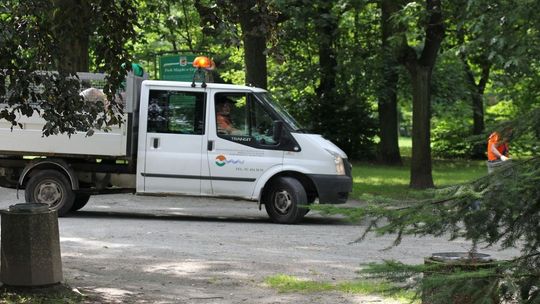 Przyjechał ze Szczecina i ukradli mu rower w parku 