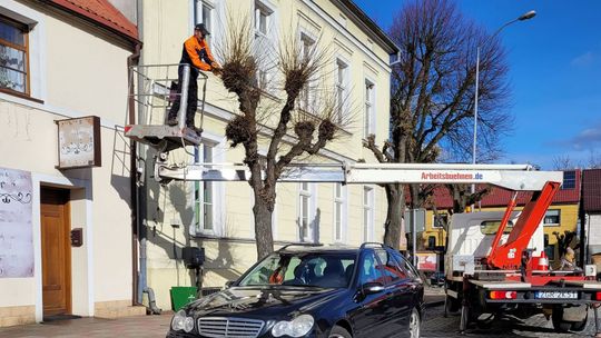 Przyszedł czas na przycinanie [ZDJĘCIA]