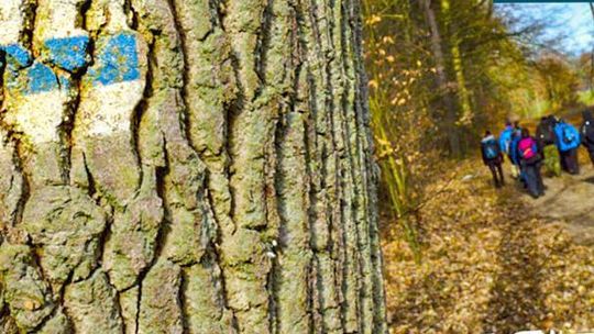 Przywitaj lato na pieszo! Zapraszamy na wycieczkę z przewodnikiem Andrzejem Urbańskim