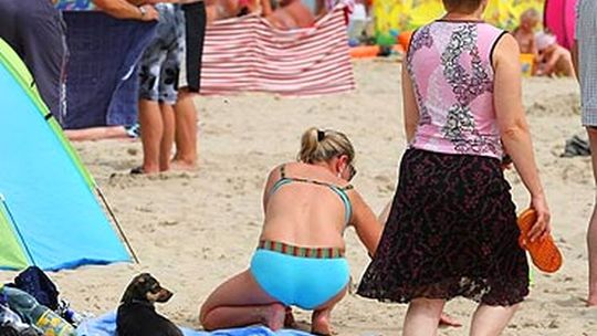 Psy na plaży. Jak to jest z przestrzeganiem zakazu? [list czytelnika]