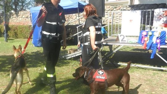 Psy szczekają, a Witowska idzie dalej